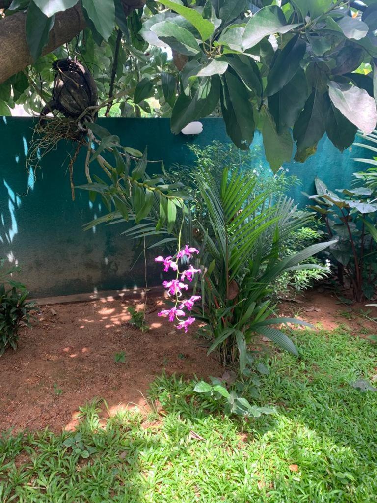 Villa Peace Heaven Galle Exterior foto